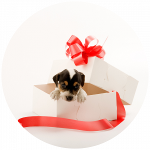 Generic Gift Card